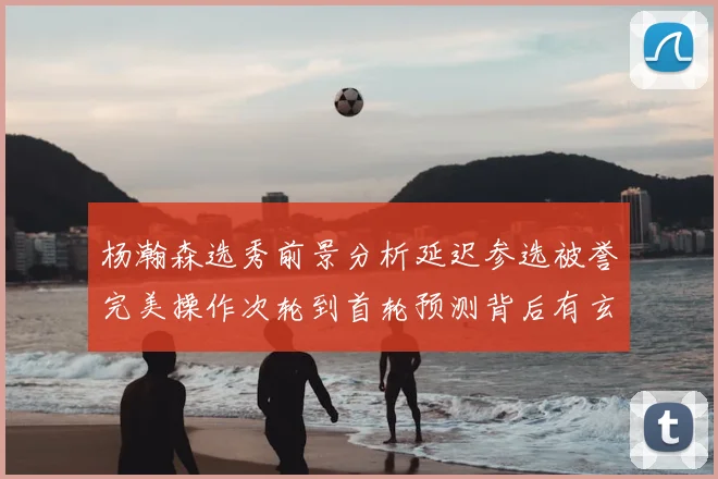 杨瀚森选秀前景分析延迟参选被誉完美操作次轮到首轮预测背后有玄机